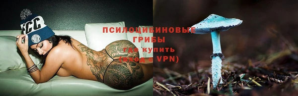 гидра Беломорск
