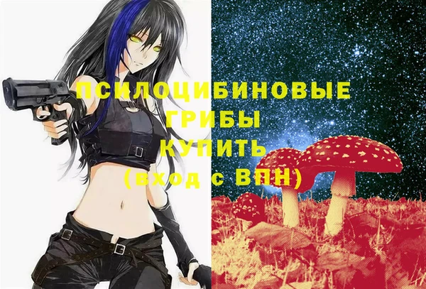 ECSTASY Белоозёрский