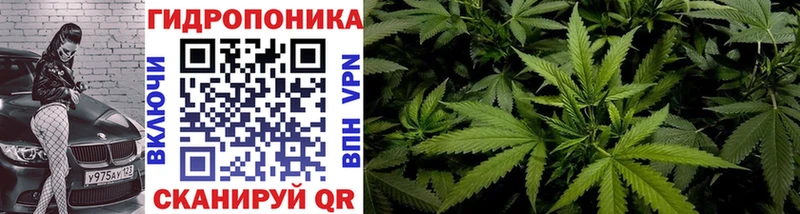 мега ССЫЛКА  darknet как зайти  Конопля SATIVA & INDICA  Нерчинск 